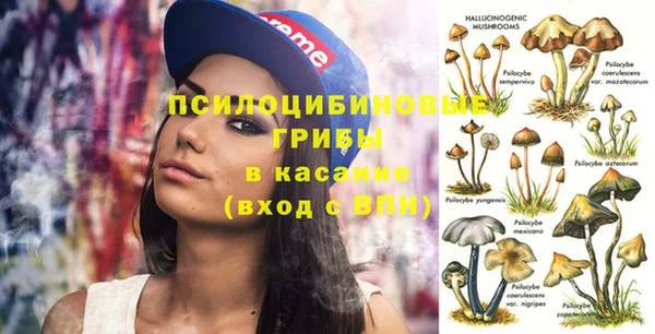 МДПВ Богданович