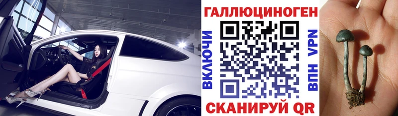 kraken зеркало  даркнет сайт  Тула  Галлюциногенные грибы мухоморы 